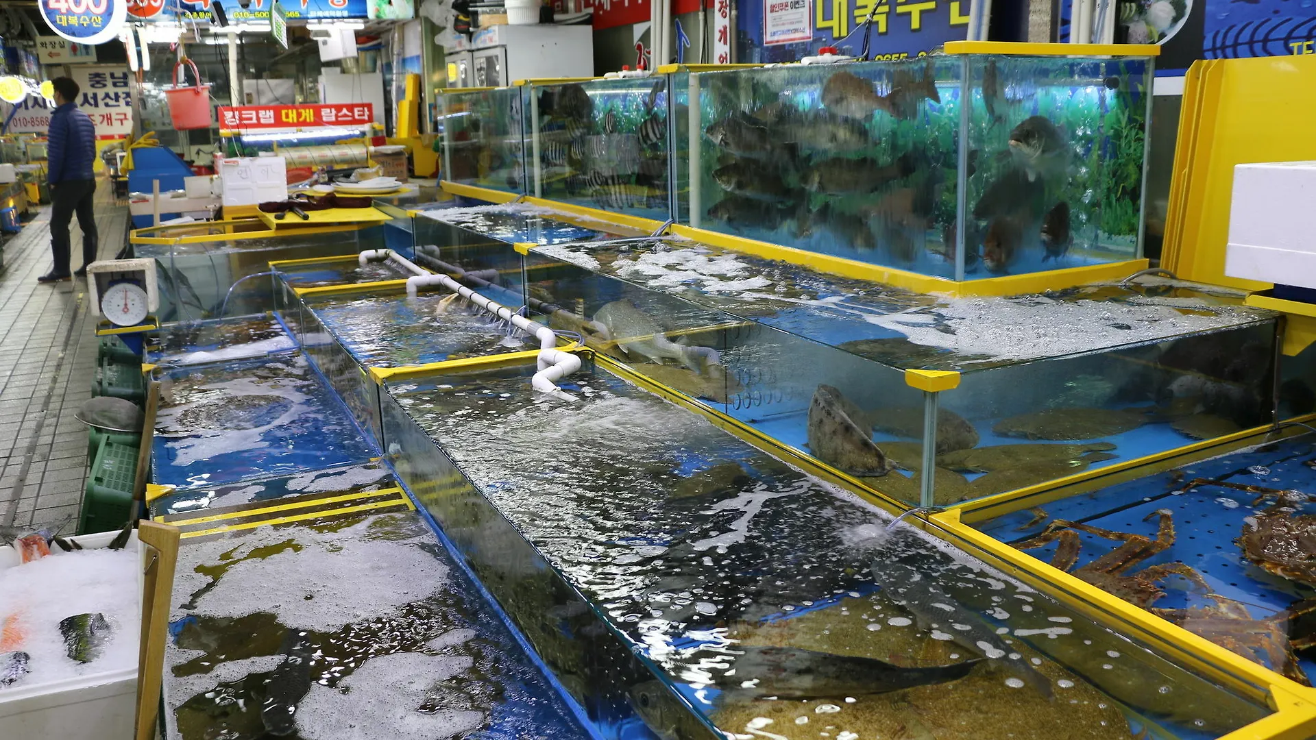 Gloucester Hotel インチョン広域市